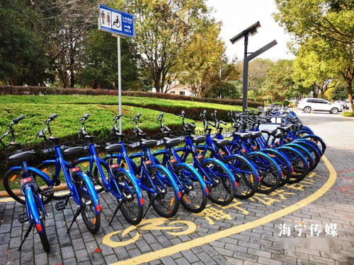市區新增500個車位，城鐵沿線配建公共自行車站點，破解城市出行“最后一公里”